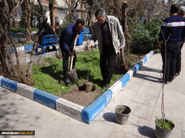 کاشت نهال توسط دانشجویان و کارمندان به مناسبت روز درختکاری