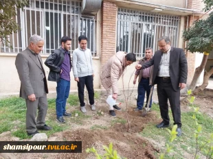 کاشت نهال در دانشکده شمسی پور به منظور پاسداشت روز درختکاری و هفته منابع طبیعی 2