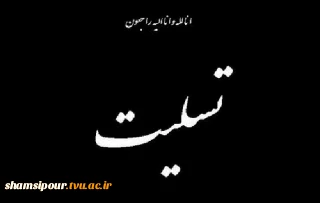 دانشگاهیان دانشگاه فنی و حرفه‌ای در پیامی شهادت جمعی از نیروهای جان‌برکف فراجا در شهرستان راسک استان سیستان و بلوچستان را تسلیت گفتند