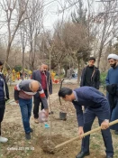 برگزاری مراسم کاشت نهال  همزمان با روز درختکاری با شعار "حفظ درخت، تداوم حیات"در دانشکده شهید شمسی پور 4