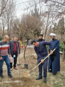 برگزاری مراسم کاشت نهال  همزمان با روز درختکاری با شعار "حفظ درخت، تداوم حیات"در دانشکده شهید شمسی پور 5