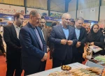 با حضور معاون توسعه اشتغال وزارت تعاون، کار و رفاه اجتماعی آغاز به کار کرد:
هشتمین بازارچه دانشجویی دانشگاه ملی مهارت در دانشکده دکتر شریعتی تهران 11