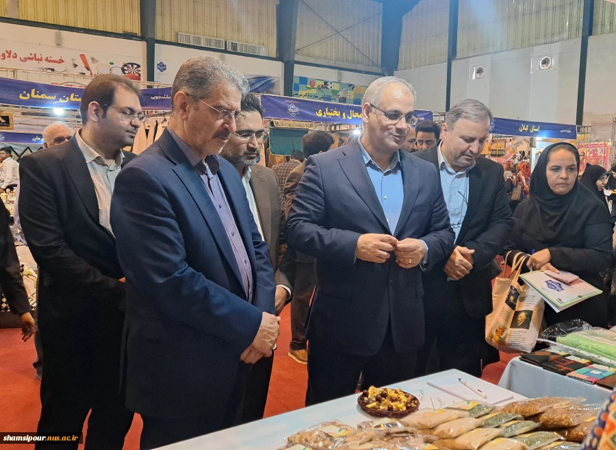 با حضور معاون توسعه اشتغال وزارت تعاون، کار و رفاه اجتماعی آغاز به کار کرد:
هشتمین بازارچه دانشجویی دانشگاه ملی مهارت در دانشکده دکتر شریعتی تهران 11