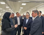 دکتر سیمایی، وزیر علوم، تحقیقات و فناوری در اجلاس رؤسای دانشکده‌ها و آموزشکده‌‌های دانشگاه ملی مهارت:
امید من در وزارت علوم به دانشگاه ملی مهارت است 5