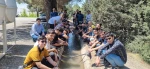 اردوی طبیعت گردی جنگل لویزان 9