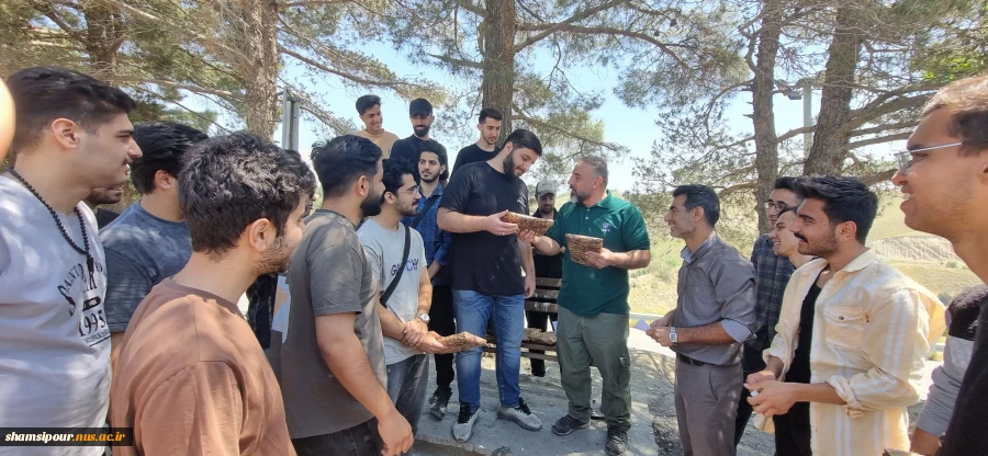 اردوی طبیعت گردی جنگل لویزان 15