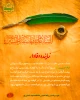 السلام علیک یا سفیر الحسین علیه‌السلام یامسلم بن عقیل 2