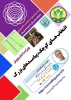 انتخاب های کوچک، پیامدهای بزرگ 2